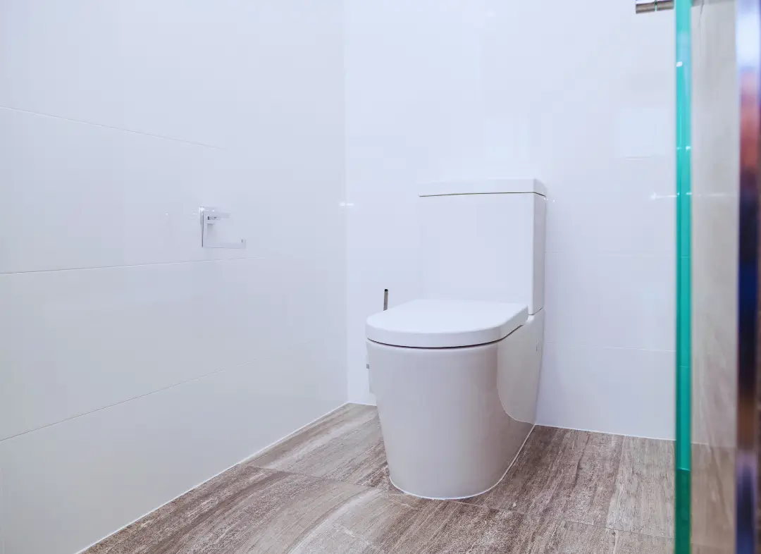 Remplacement de wc Jacou